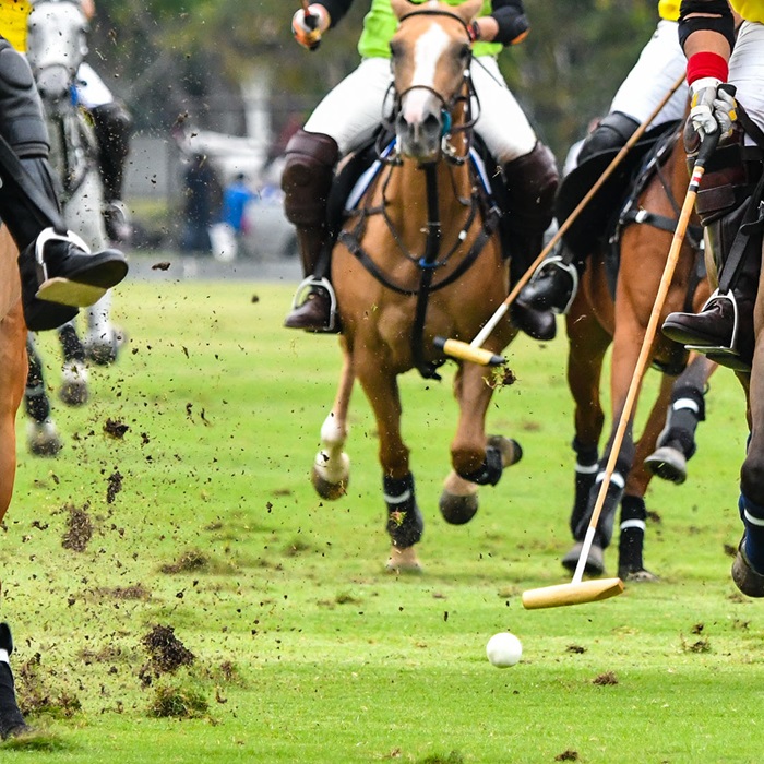 A group of people playing a polo game on a field